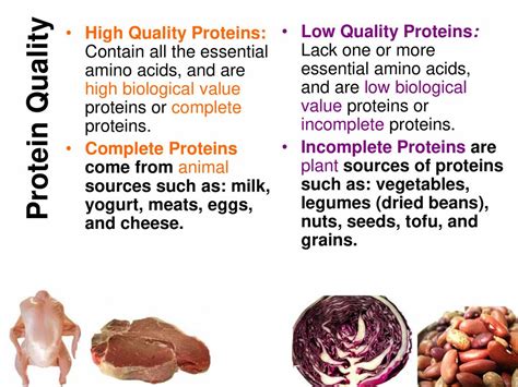 eggs are a low quality protein source
